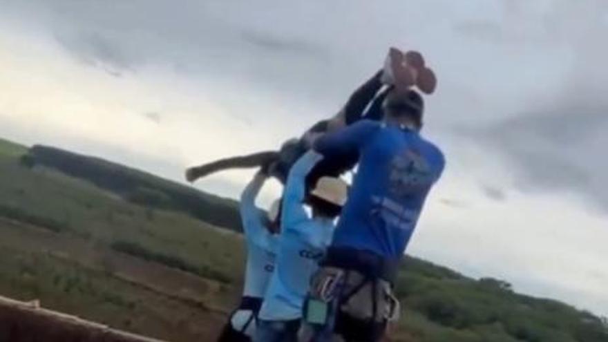 Fallece una joven de 21 años al ser arrojada al vacío sin cuerda durante un salto de 'bungee jump' en Brasil