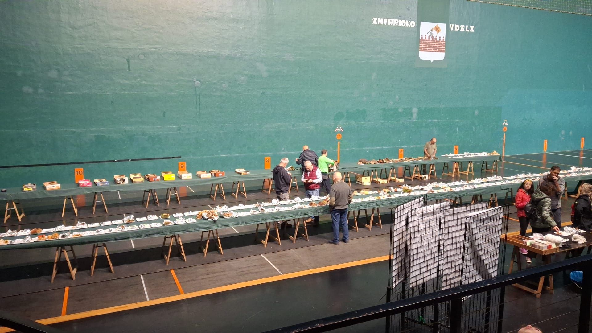 Vista de la exposición micológica que organizó Arriola en el frontón de Amurrio el pasado domingo