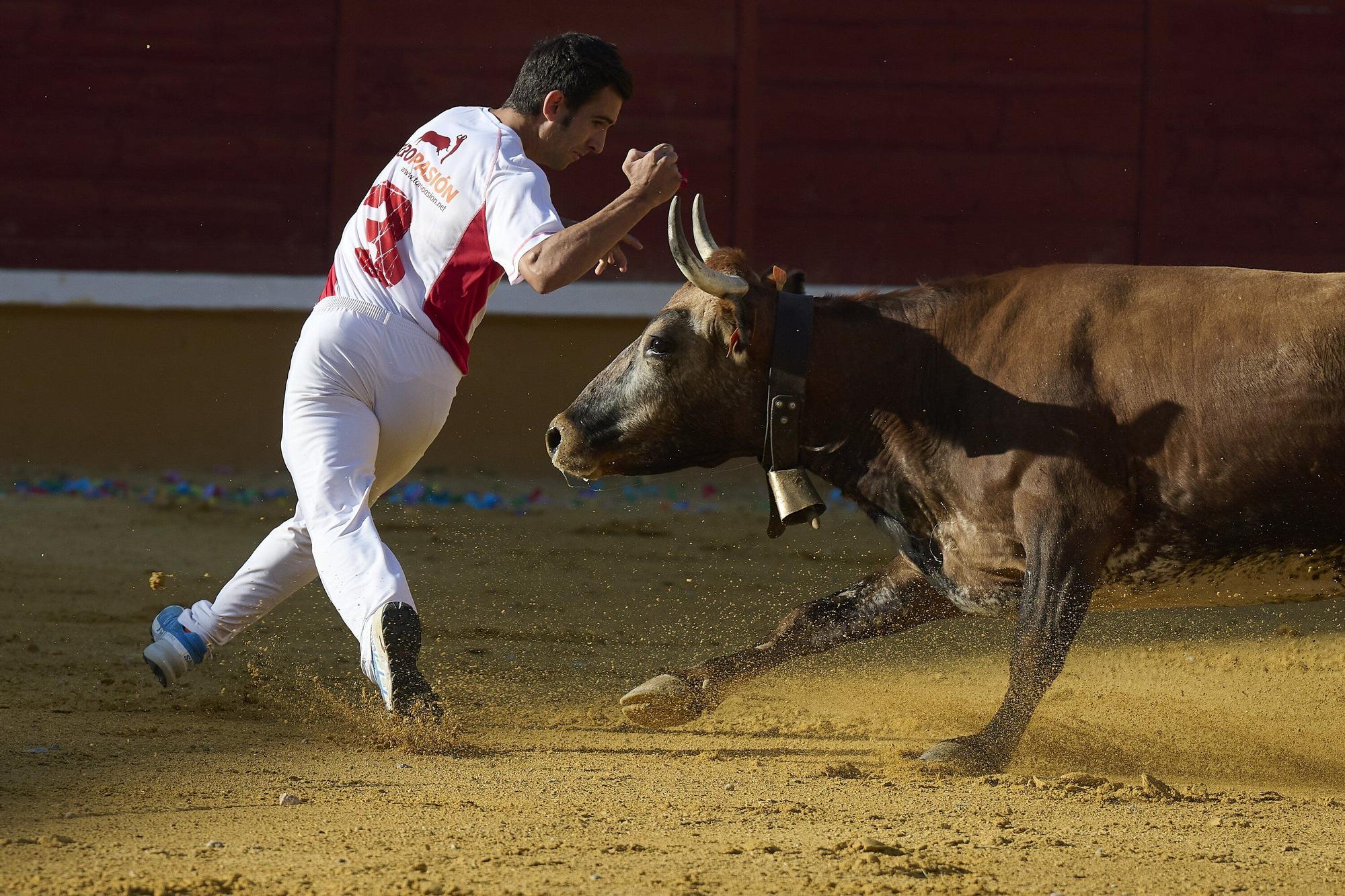 Concurso de recortadores con anillas