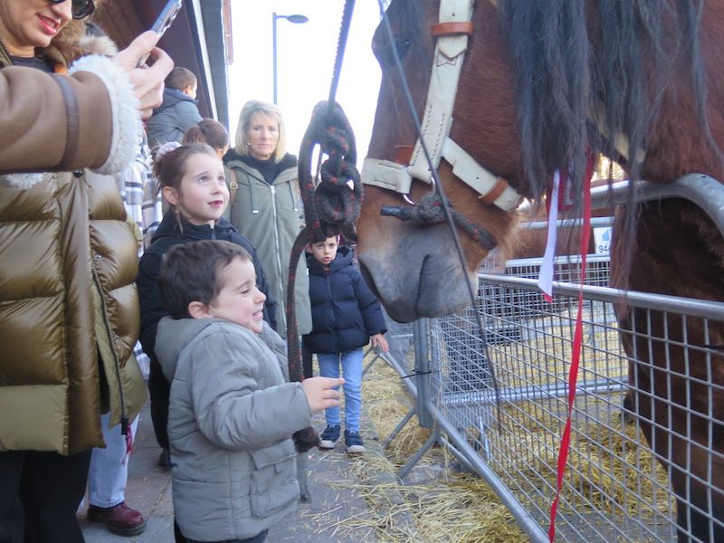 La feria de Santa Lucía, en imágenes