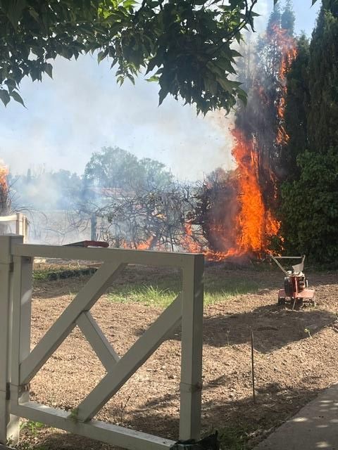 Incendio en el huerto de Avenida Narangel.