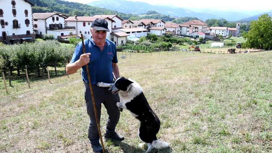 Amaiur celebrará, en su ‘Artzai Eguna’ del sábado, 50 años del Concurso de Perros