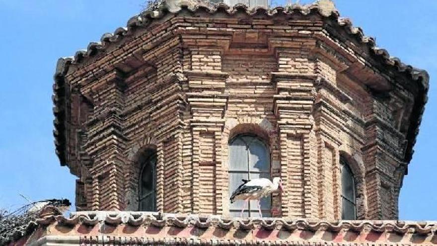 Anidar. Un lugar donde