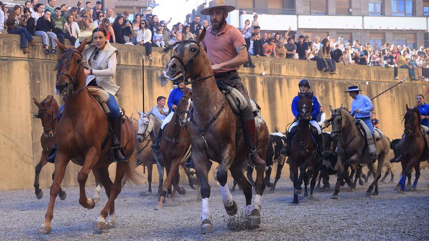 Cuatro siglos de tradición ecuestre en Marcilla