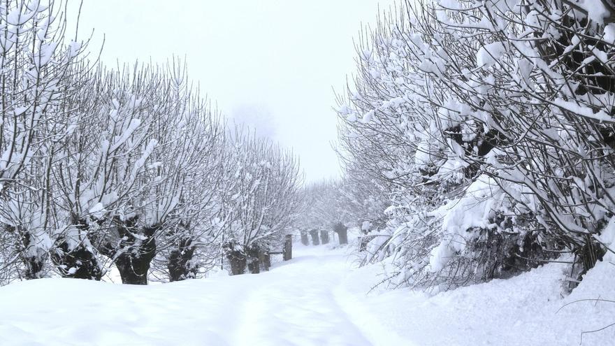 Aviso amarillo por aludes en el Pirineo navarro