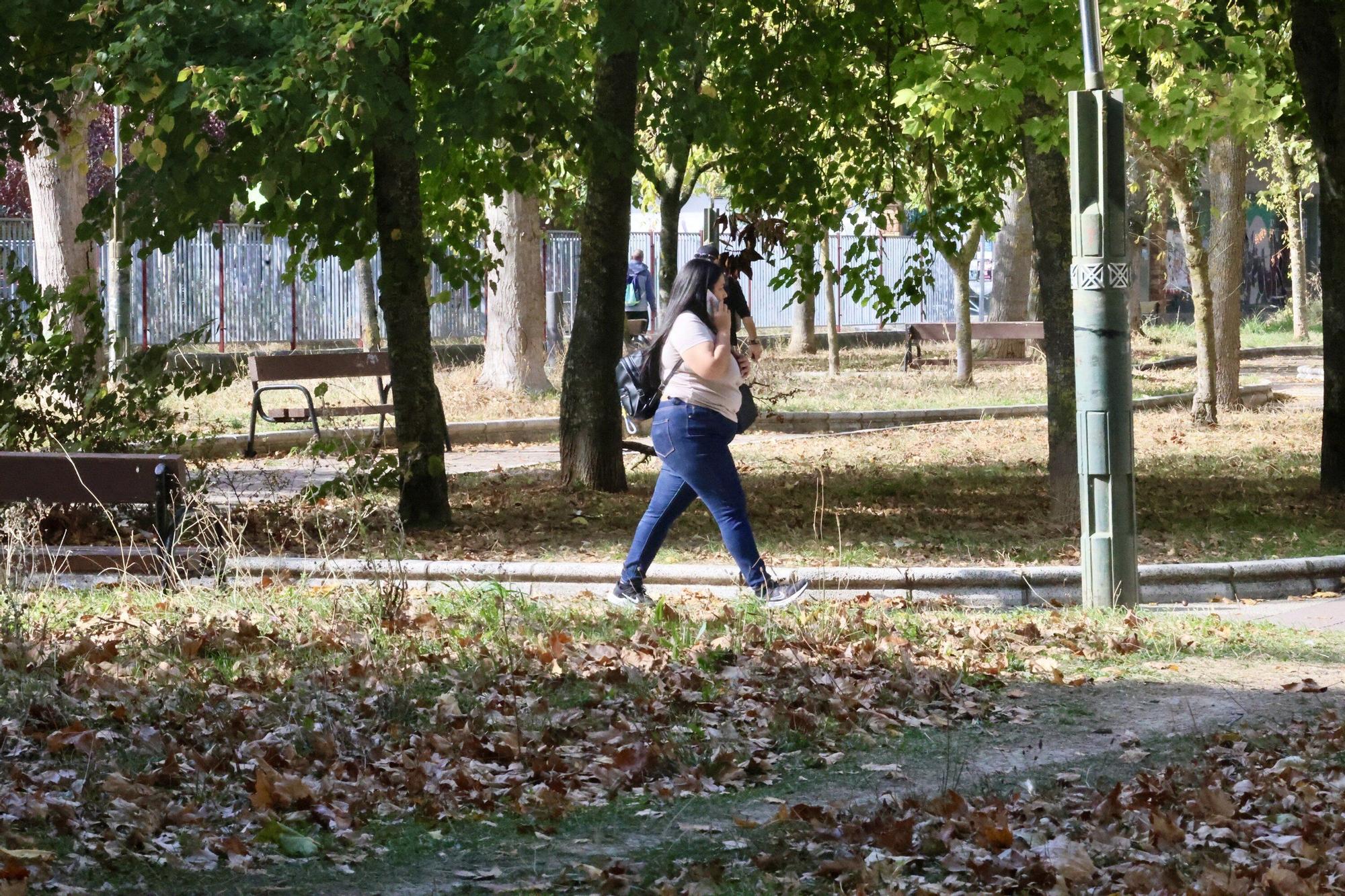 En imágenes: Vitoria-Gasteiz se prepara para adecentar el verde de la ciudad