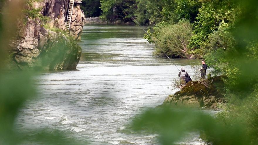 &#039;Arriba y abajo&#039;, ciclo sobre el Salmón del Bidasoa en Bera
