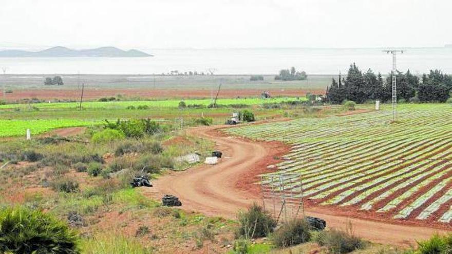 Adjudicados por tres millones los terrenos vascos en Murcia