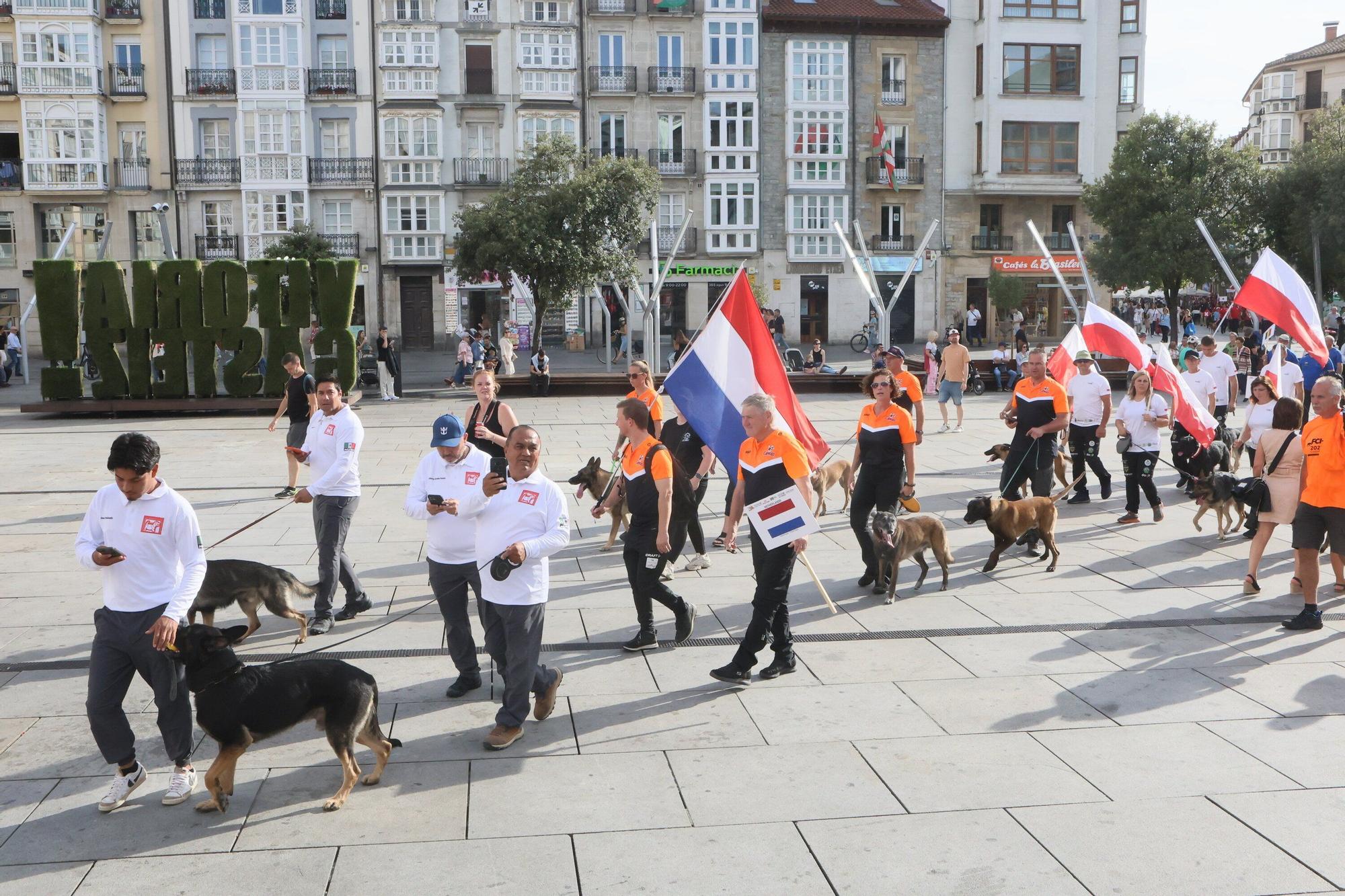En imágenes: Perros de élite desfilan por Vitoria-Gasteiz por el 'Campeonato Mundial FCI-IGP'