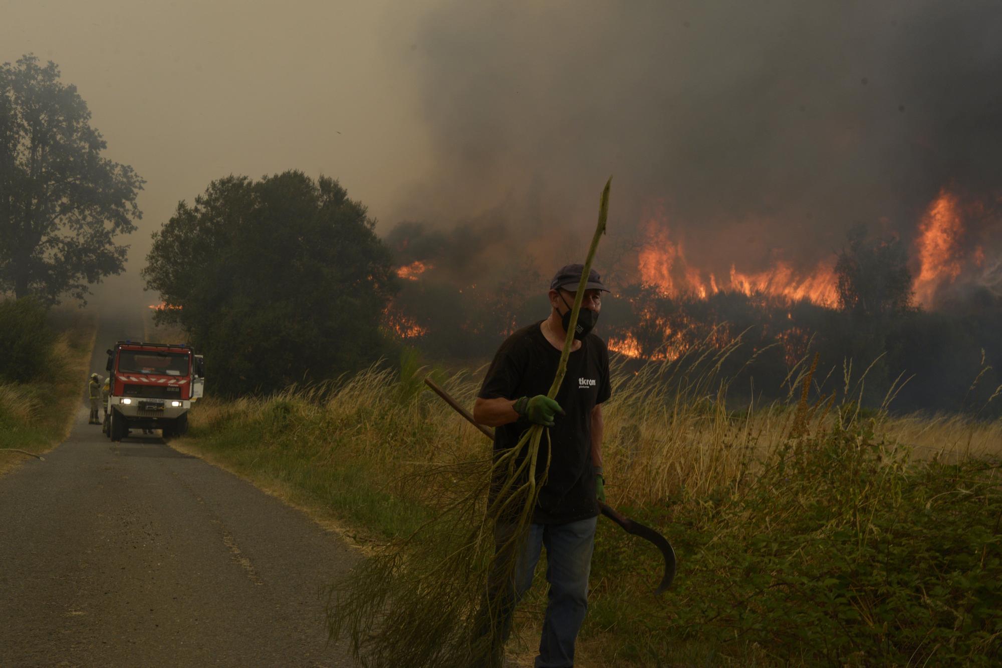 Semana negra de incendios: Cuatro muertos y 120.000 hectáreas quemadas