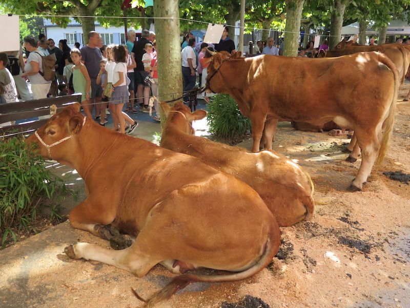 Los urretxuarras lo dan todo en las fiestas de Santa Anastasia