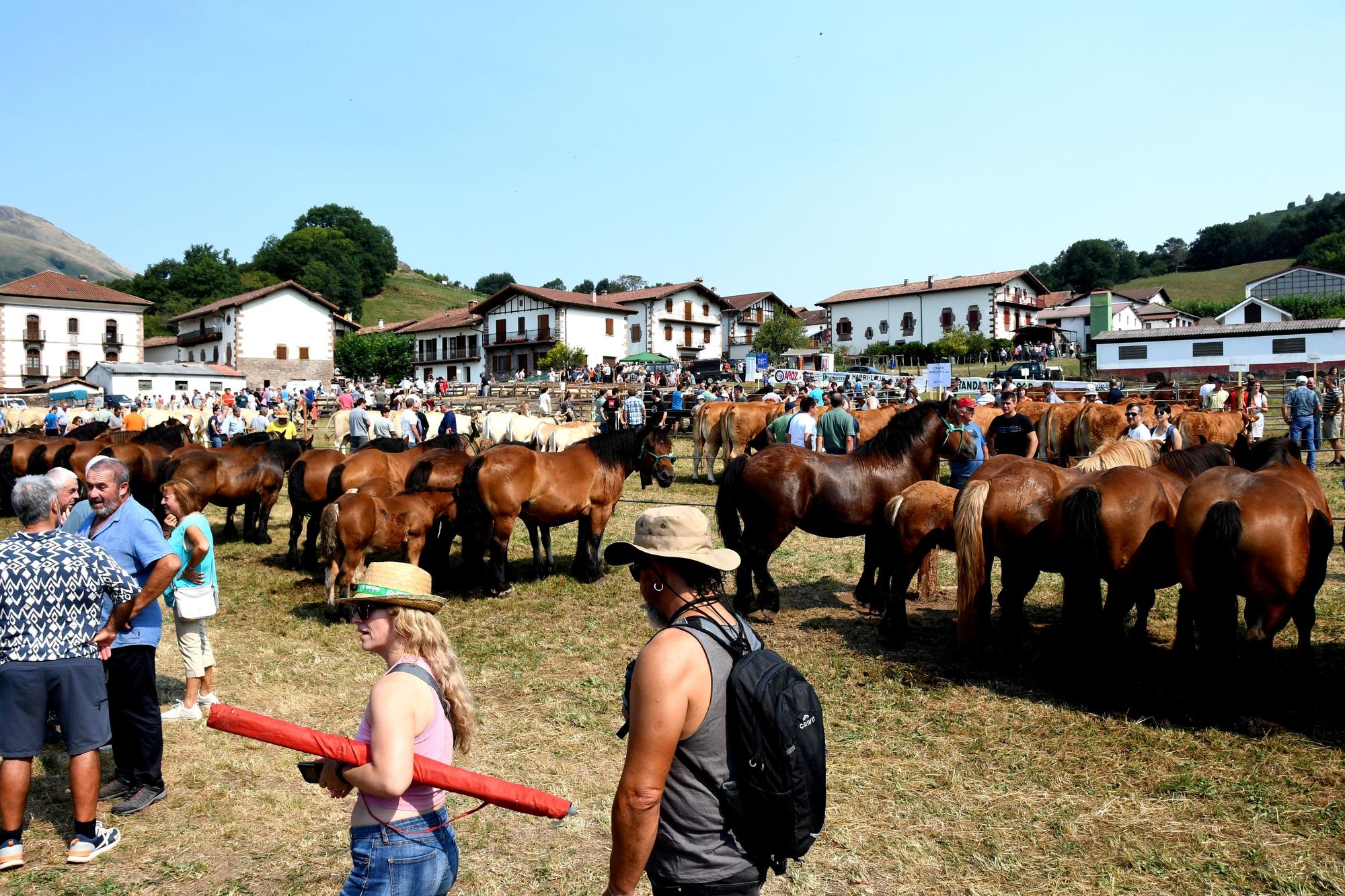 Artzai Eguna en Amaiur