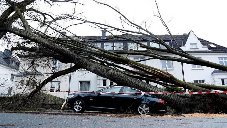 Un árbol caído sobre un coche en Dortmund (Alemania).