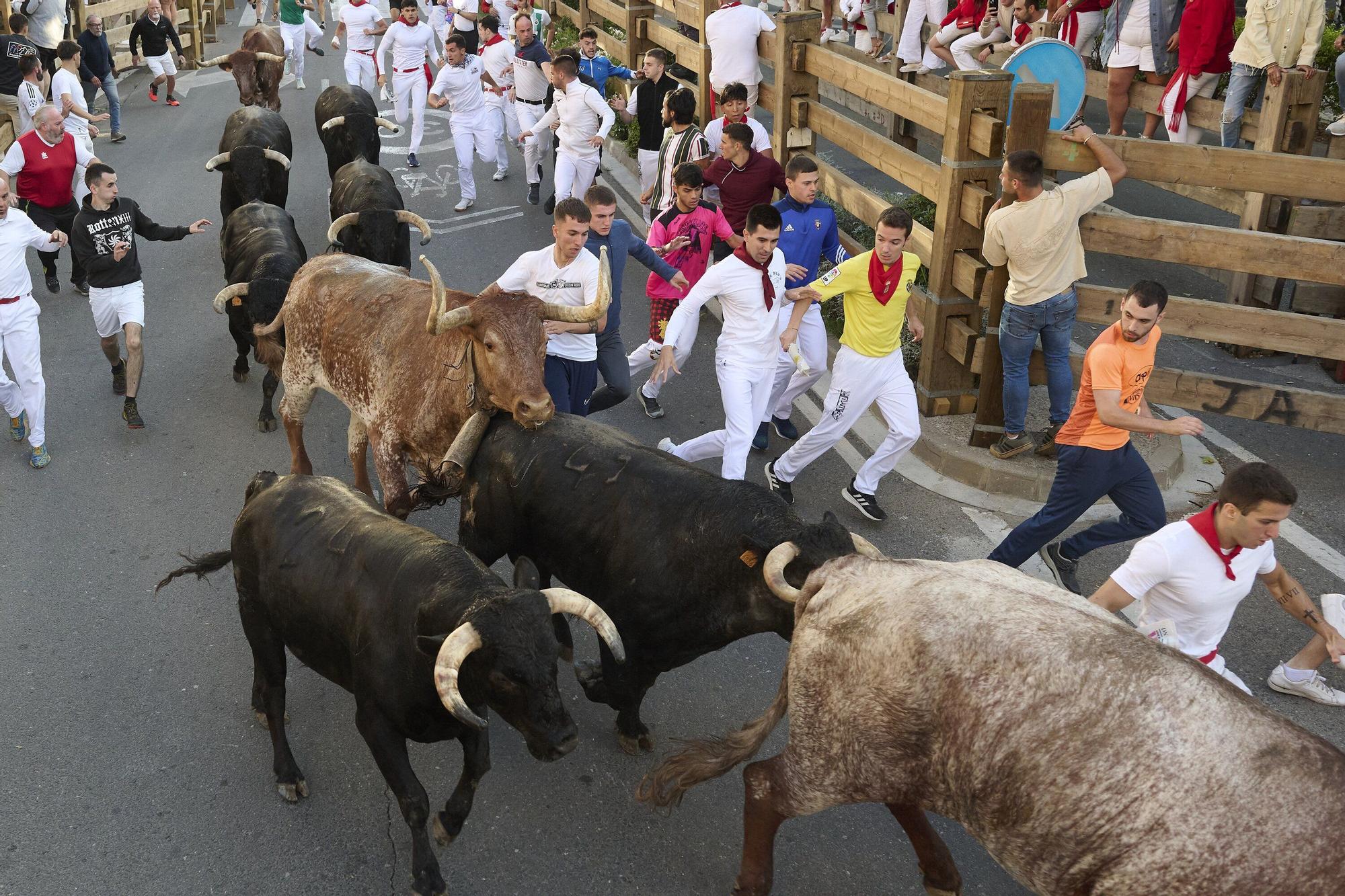 Fotos del tercer encierro de las fiestas de Tudela 2025