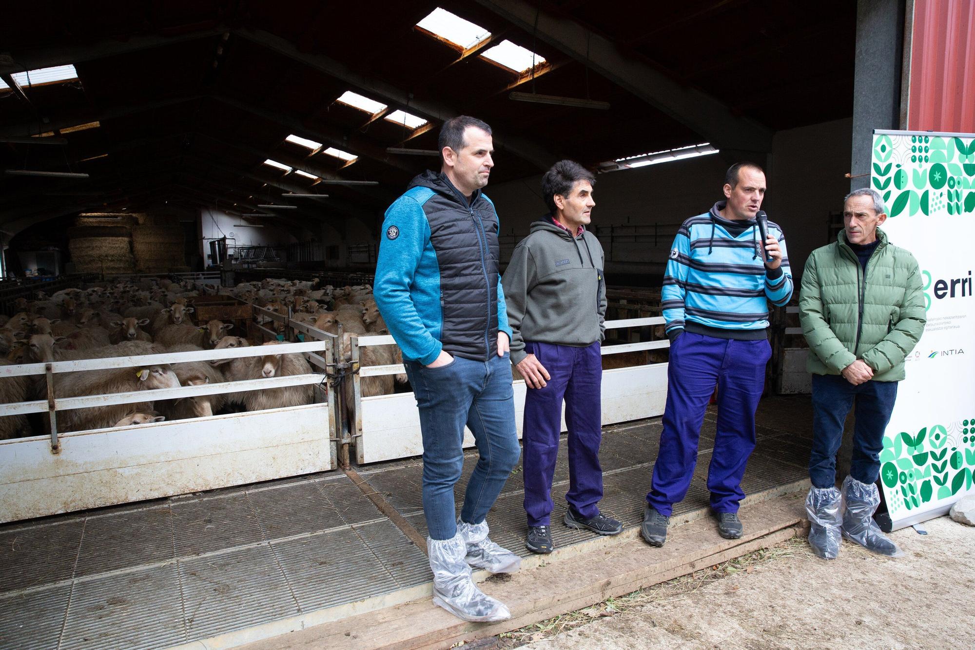 Fotos de la visita a la explotación ganadera de un joven que acaba de instalarse en Gaintza, en el valle de Araitz