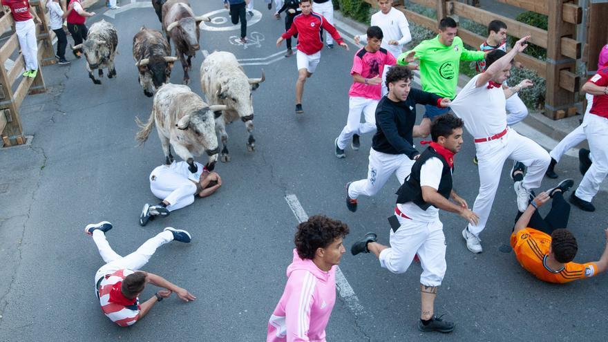 Cuarto encierro de las fiestas de Tudela 2025: buenos toros y muchos corredores