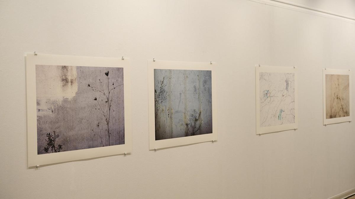Más obras de la exposición.