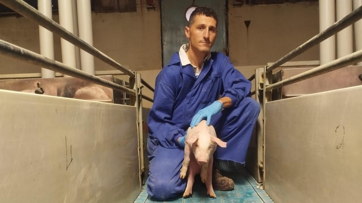 Pedro Mozaz, ganadero en su granja de cerdos en Caparroso.