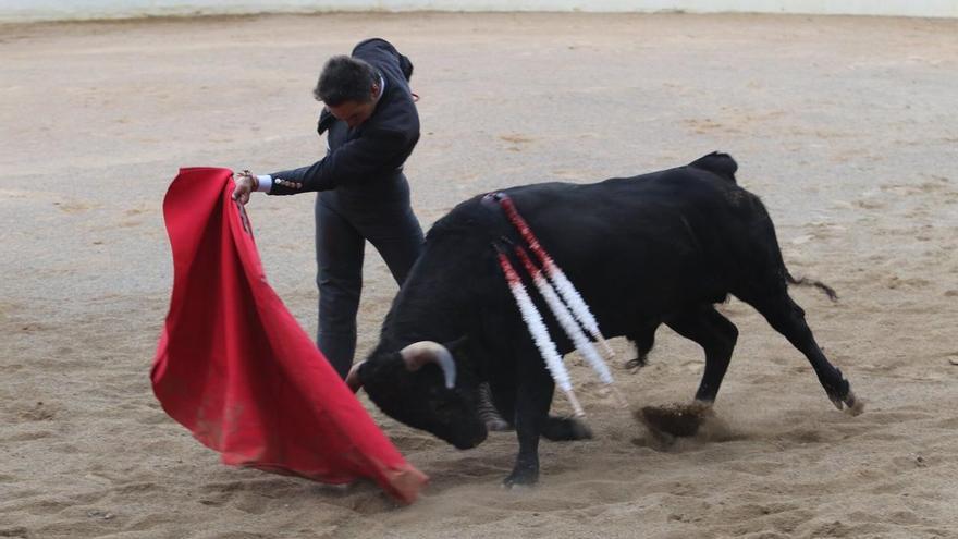Triunfo de Uceda Leal y El Cid ante buenos novillos de Azcona en Cascante