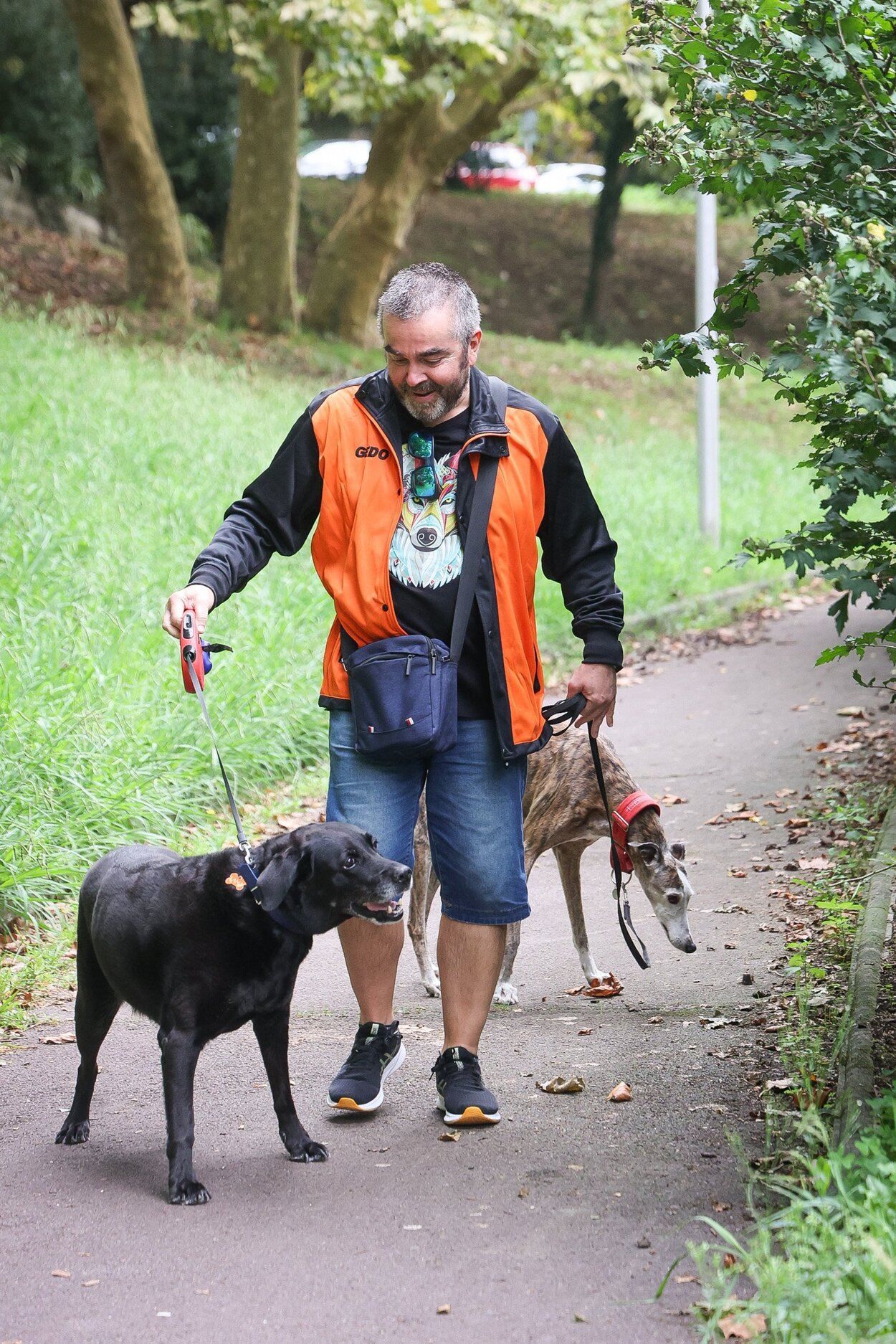 Josetxo Arrizabalaga ha adoptado en varias ocasiones, la última, Lana, una labradora de doce años.