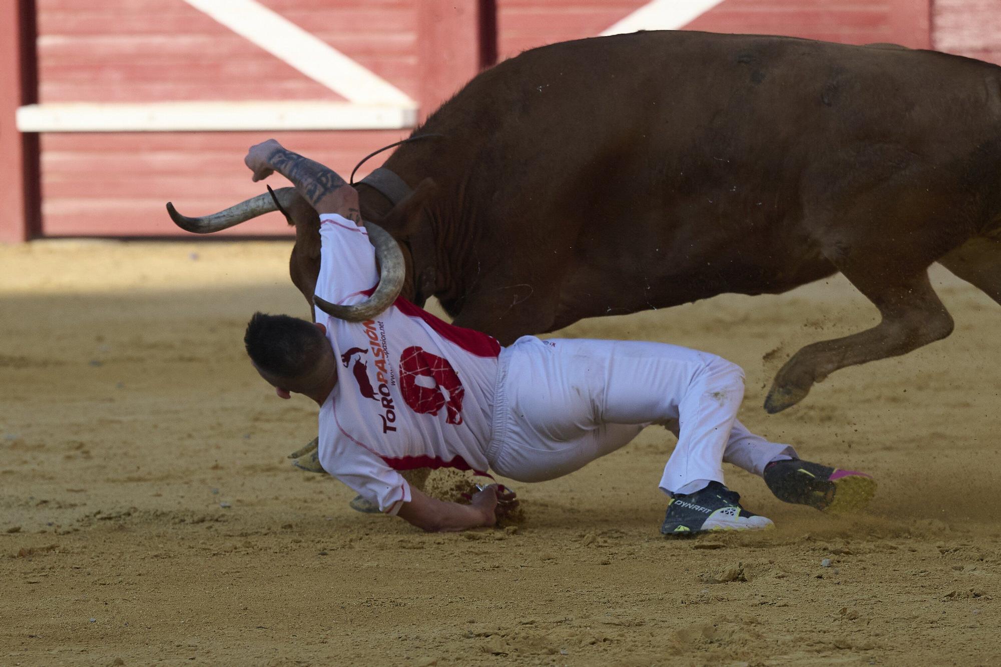 Concurso de recortadores con anillas