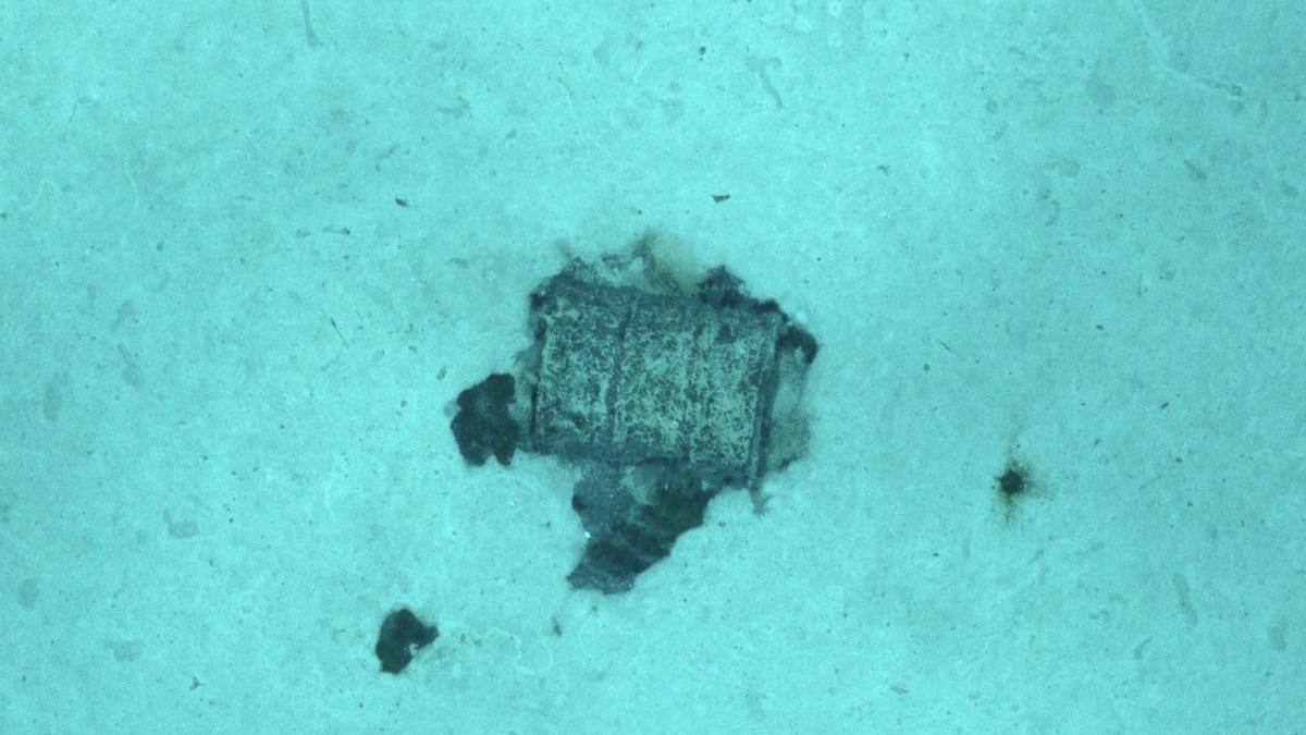 Un bidón con residuos radiactivos en la Fosa Atlántica.
