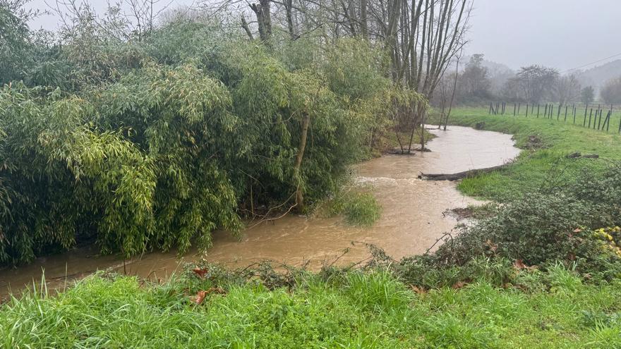 La cuencas de los ríos de Bizkaia se mantienen en niveles amarillos y verdes