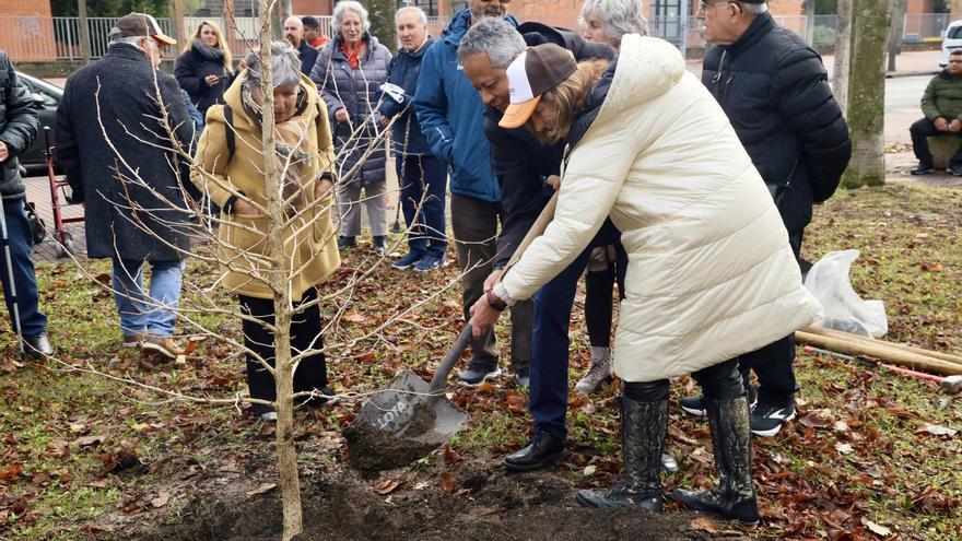 ASOPARA celebra 25 años con la plantación de un árbol en San Martín para visibilizar el párkinson