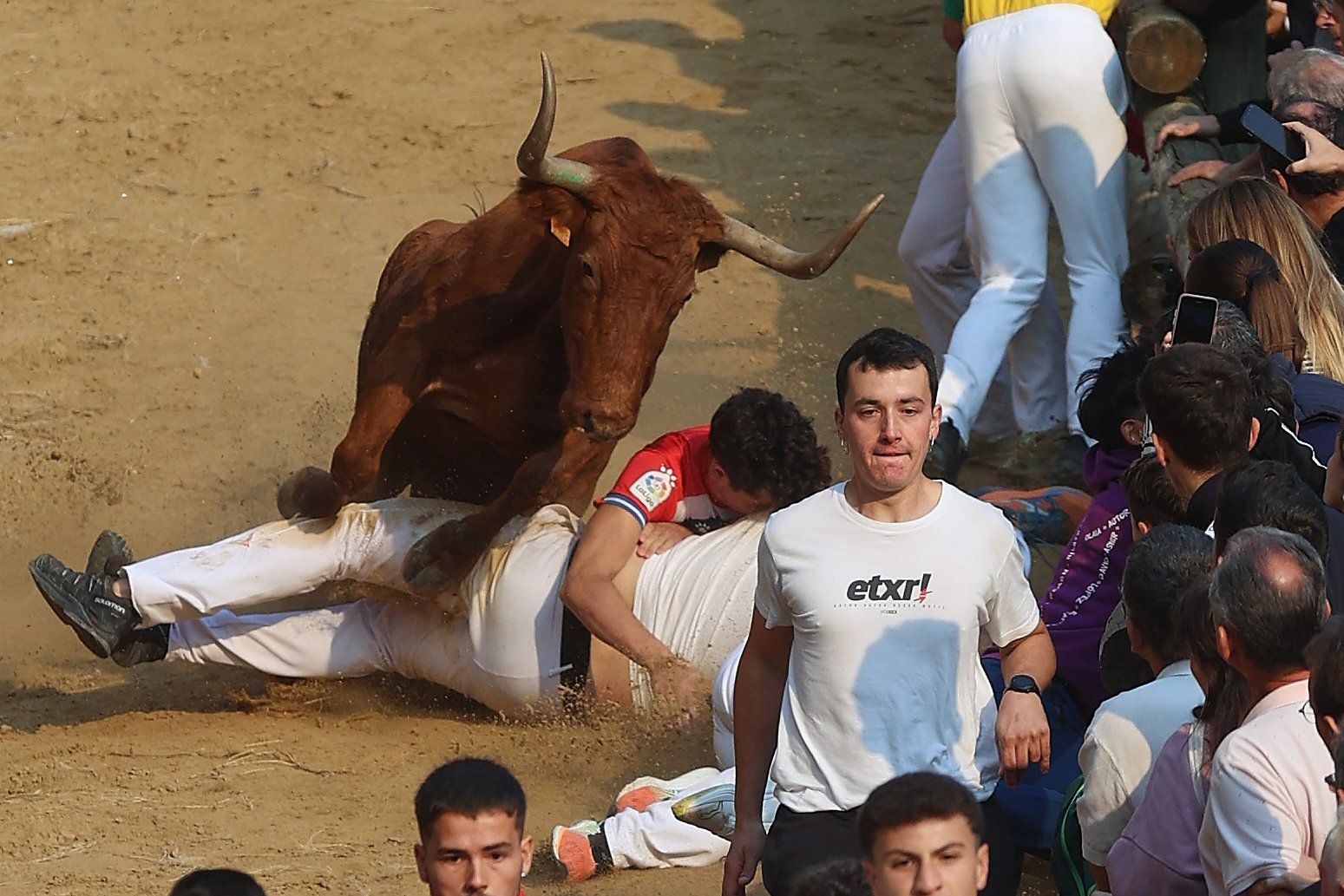 Fotos del cuarto encierro del Pilón de Falces 2025