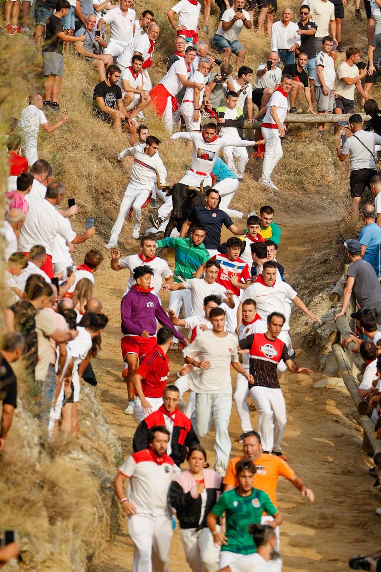 Fotos del segundo encierro del Pilón de Falces 2025