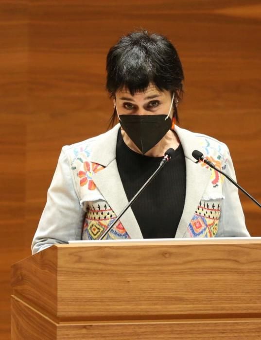 Pleno del Parlamento de Navarra (22-04-2021)