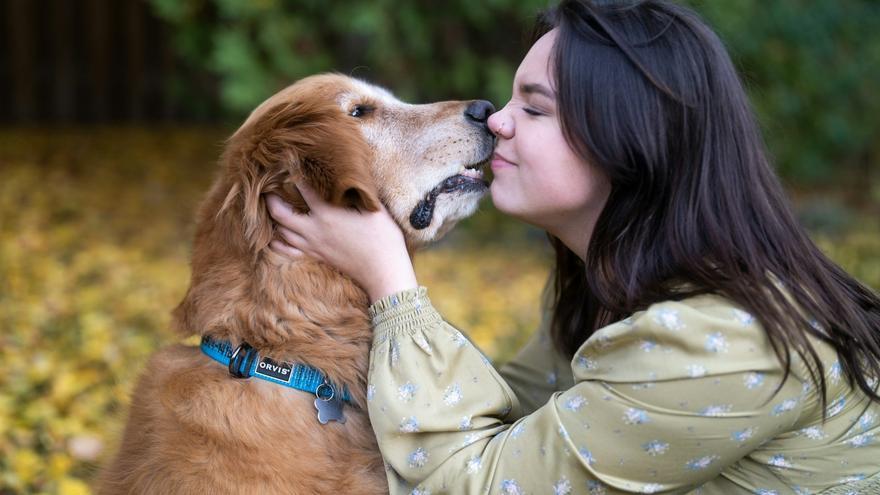 Gipuzkoa cambia de familia: compañeros de viaje más allá de las cifras