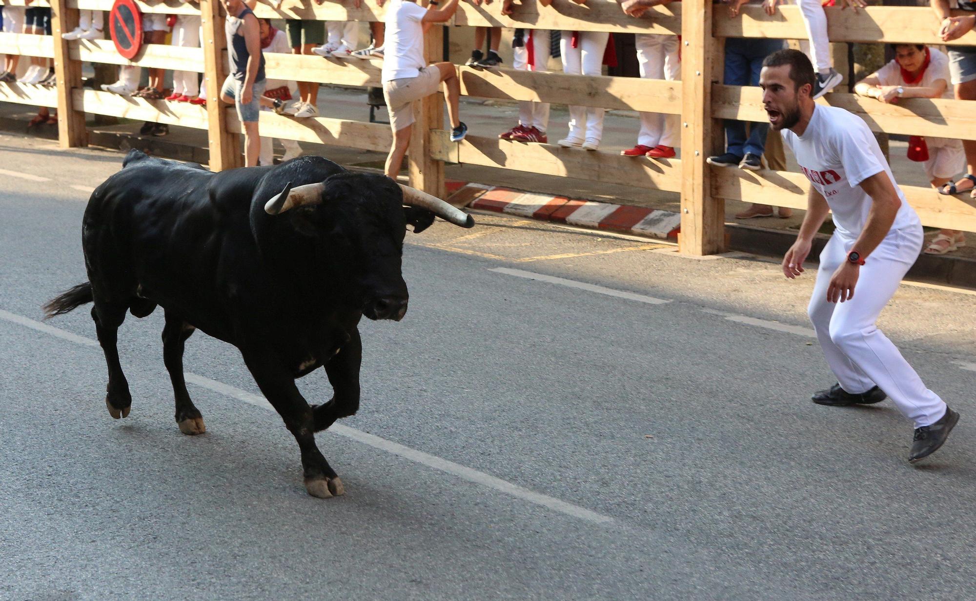 Fotos del primer encierro de fiestas de Tafalla