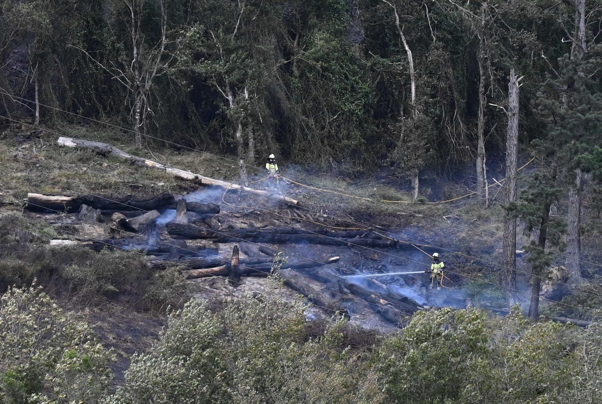 Incendio forestal en Güeñes