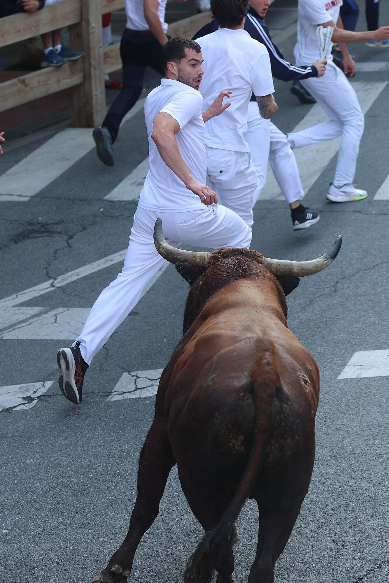 Fotos del quinto encierro de las fiestas de Tafalla 2025