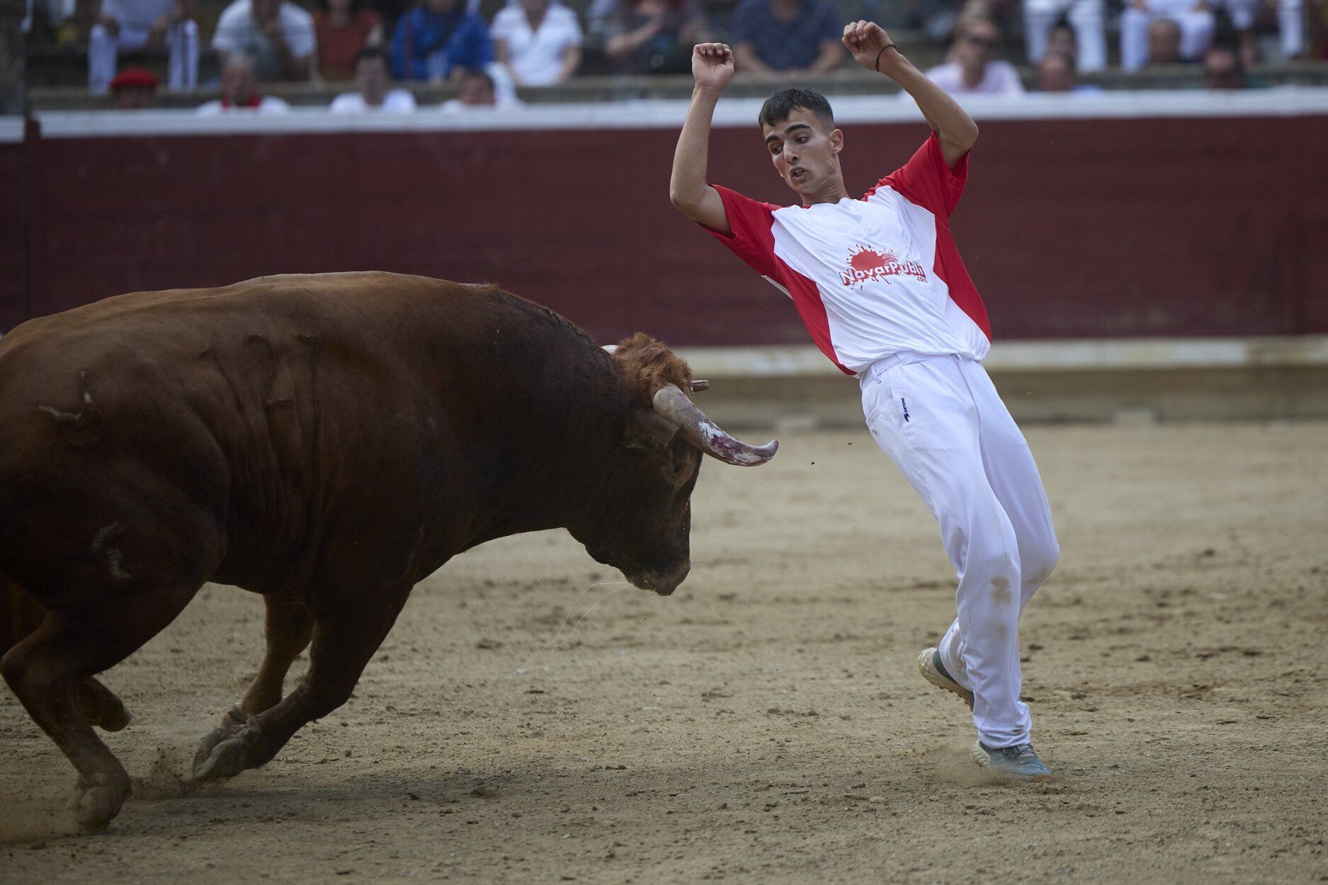 Fotos del concurso de recortadores de fiestas de Tafalla