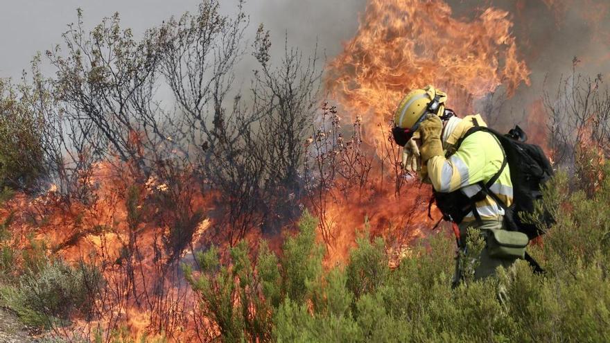 ¿Qué significa que un incendio se declare nivel 0, 1, 2 o 3?