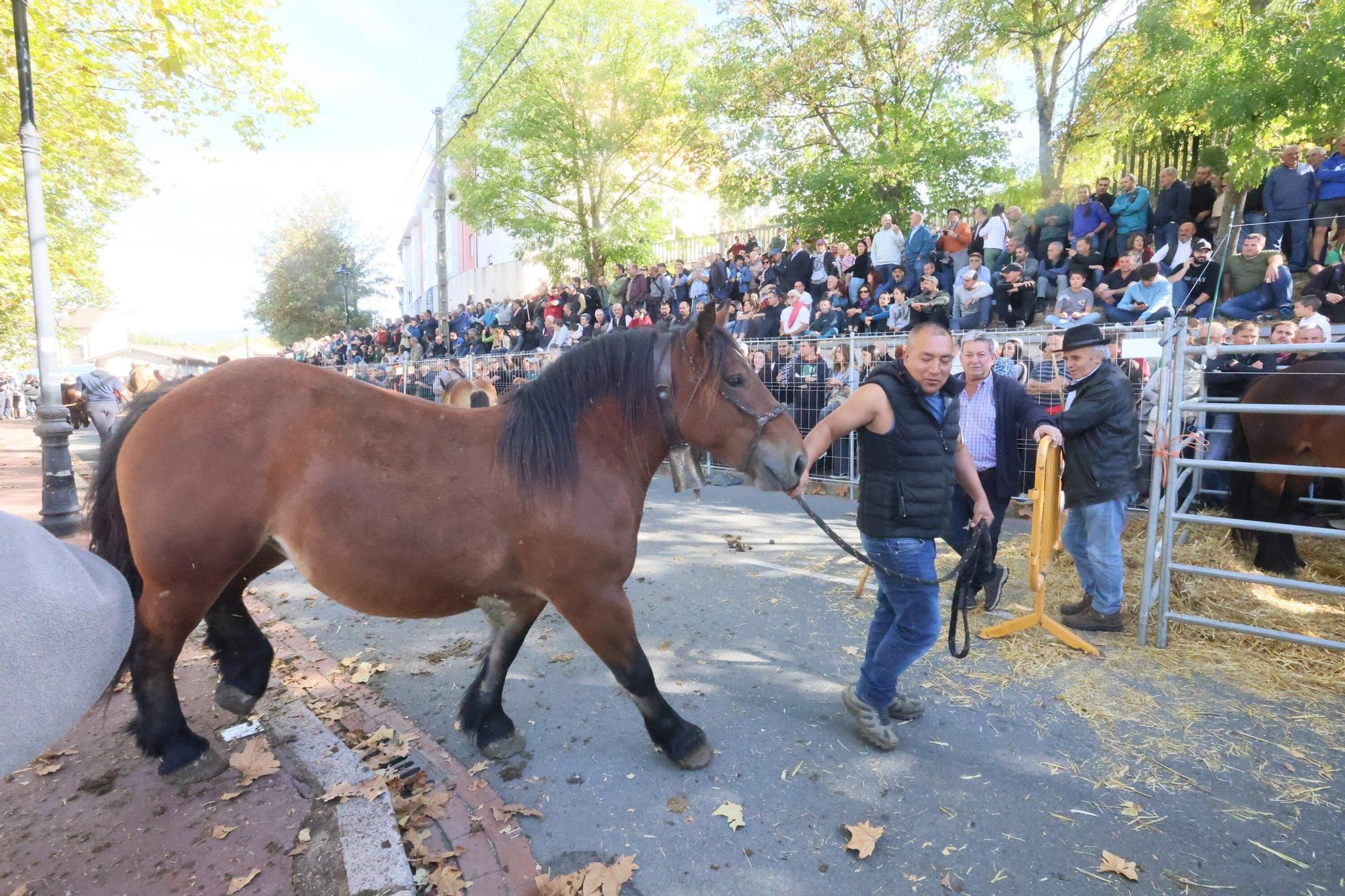 En imágenes: Miles de personas disfrutan de la 630 edición de la feria de Agurain