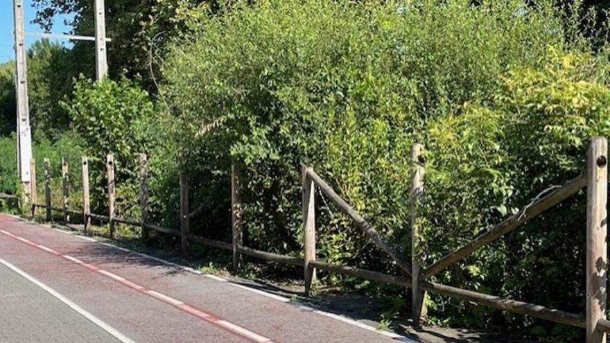 Durango reparará un tramo del bidegorri de Astola Bidea