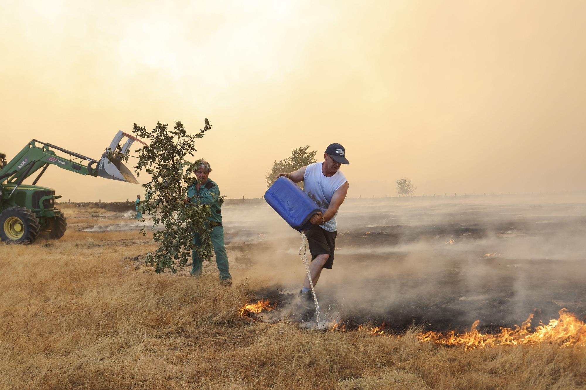 Semana negra de incendios: Cuatro muertos y 120.000 hectáreas quemadas