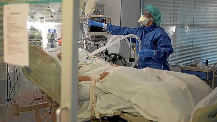 Euskadi registra 15 fallecidos por covid en los dos últimos días