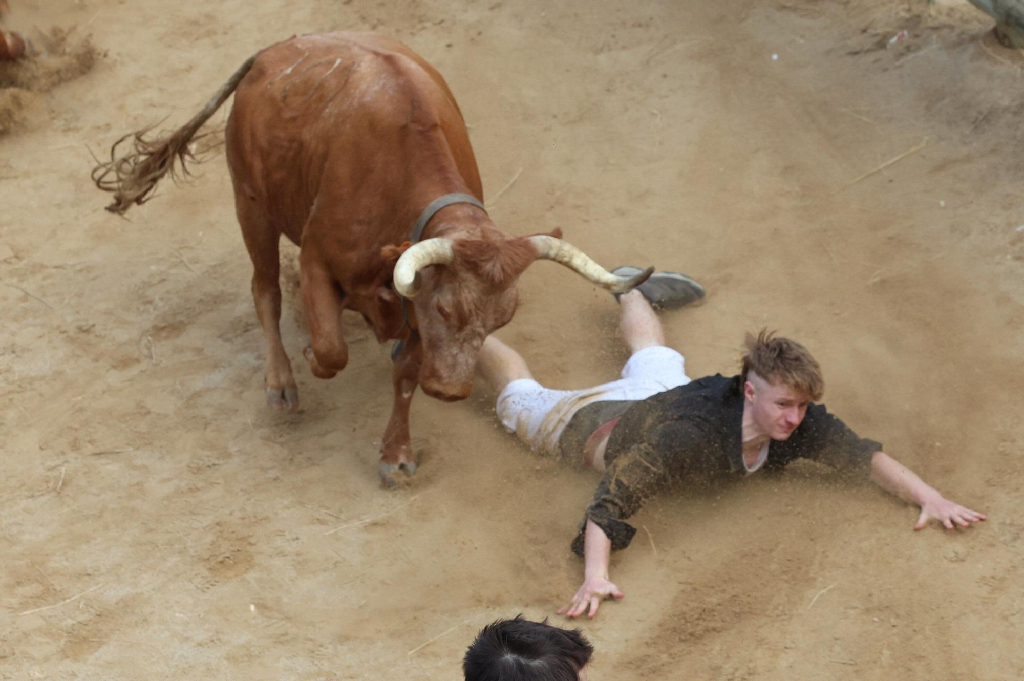 Fotos del quinto encierro del Pilón de Falces 2025 con vacas de Eulogio Mateo