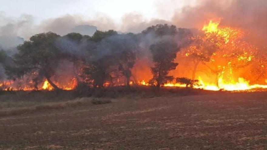 Estabilizado un incendio en el Embalse del Ferial de las Bardenas Reales