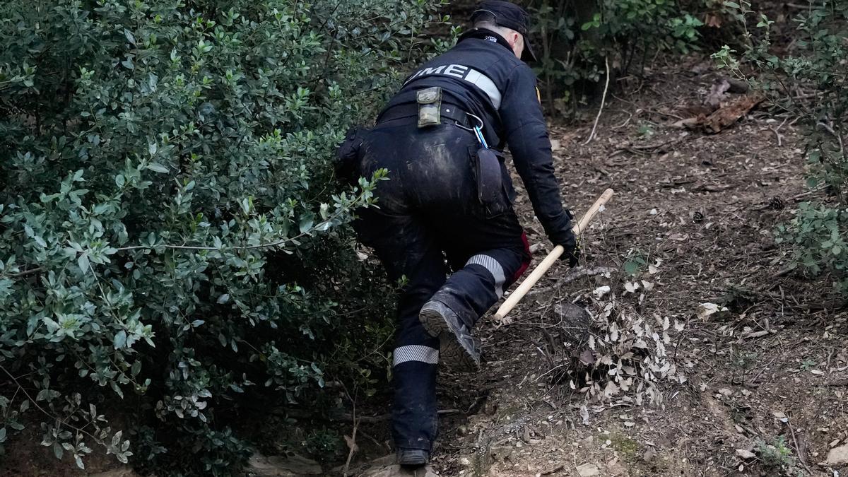 Un agente d ela UM en la zona de rastreo de jabalíes por la peste porcina.