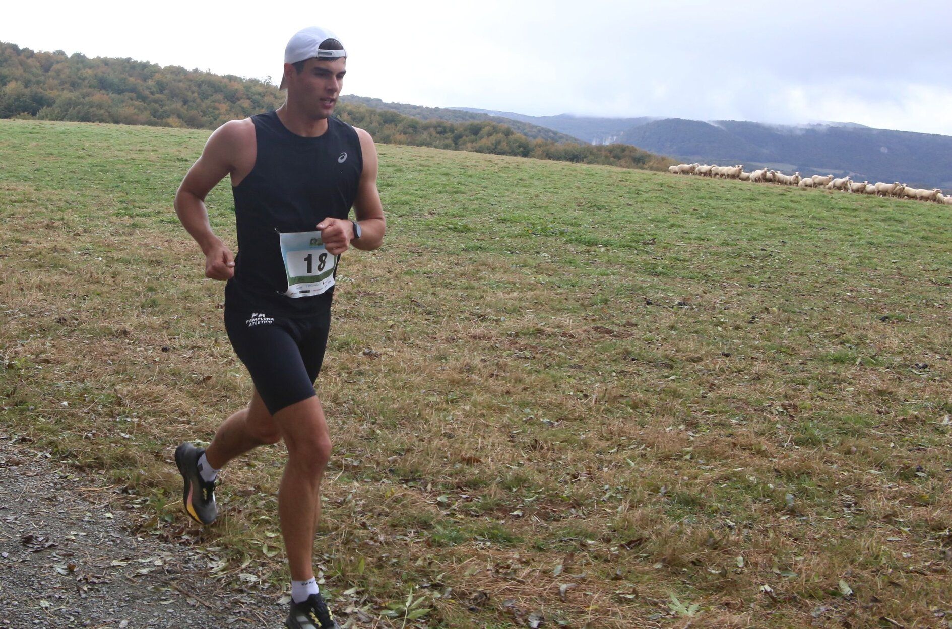 Fotos de la XVIII Media Maratón Roncesvalles-Zubiri