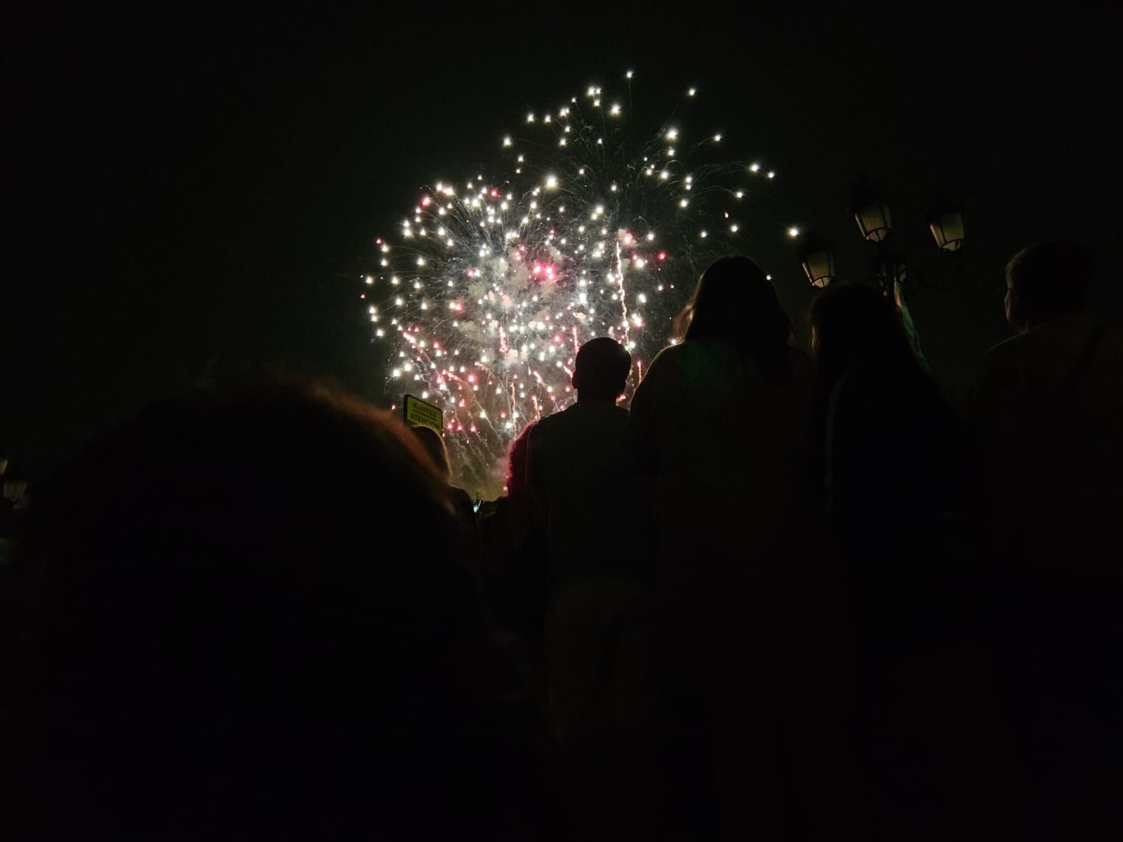 Fuegos artificiales de Artefogo Pirotecnia iluminan la noche de Aste Nagusia