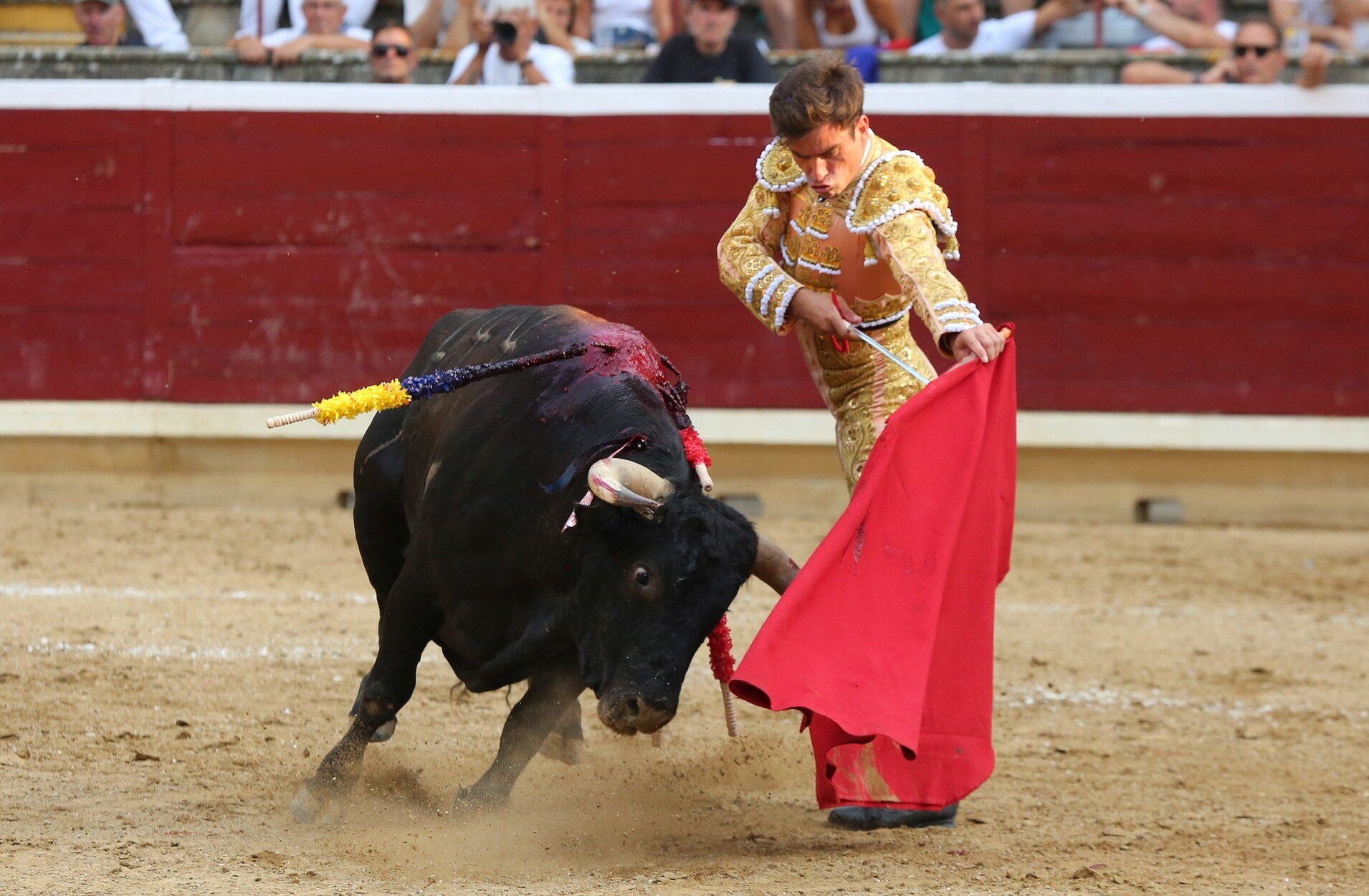 Fotos de la tercera corrida de toros de fiestas de Tafalla