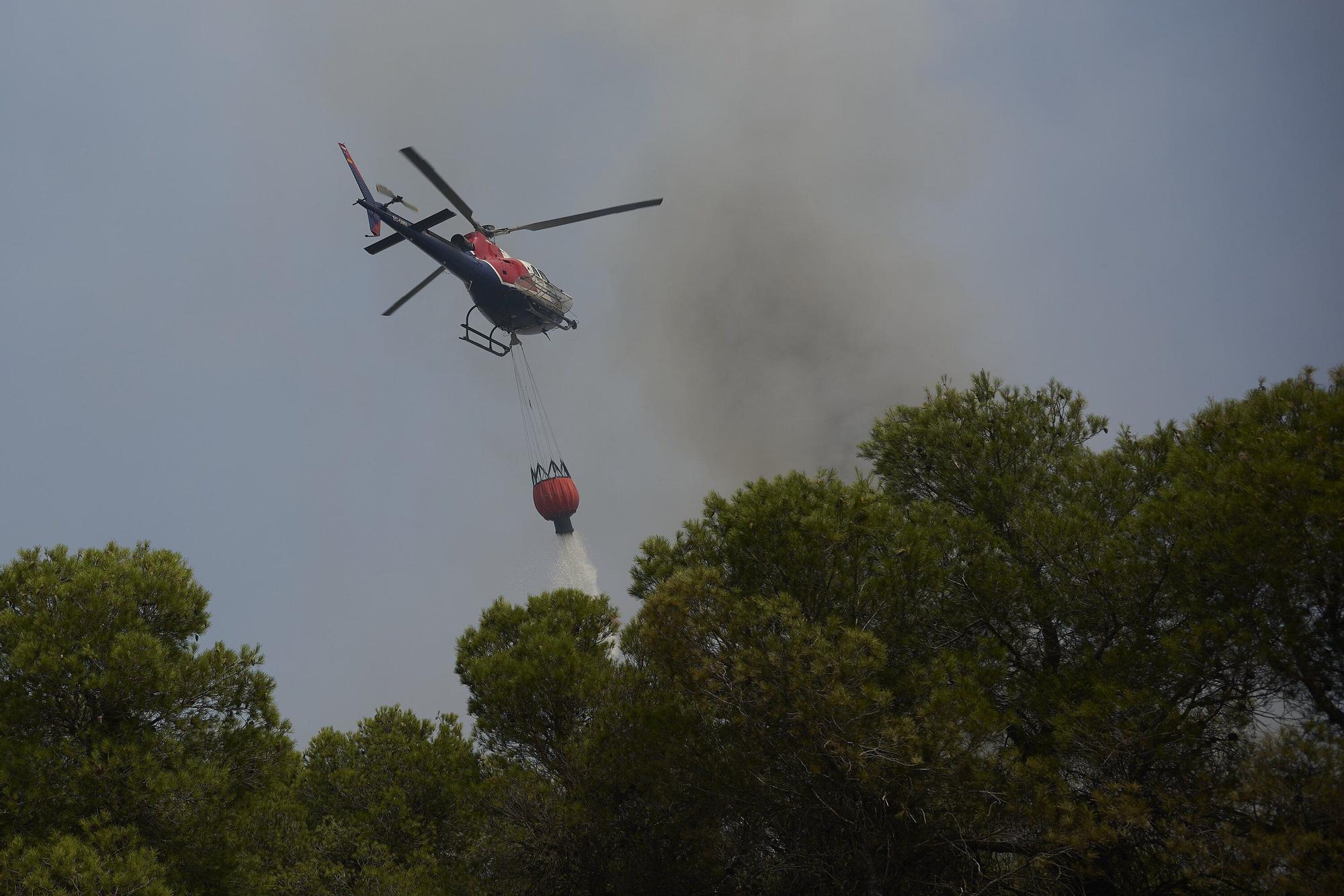 Fotos del incendio forestal cerca de Carcastillo