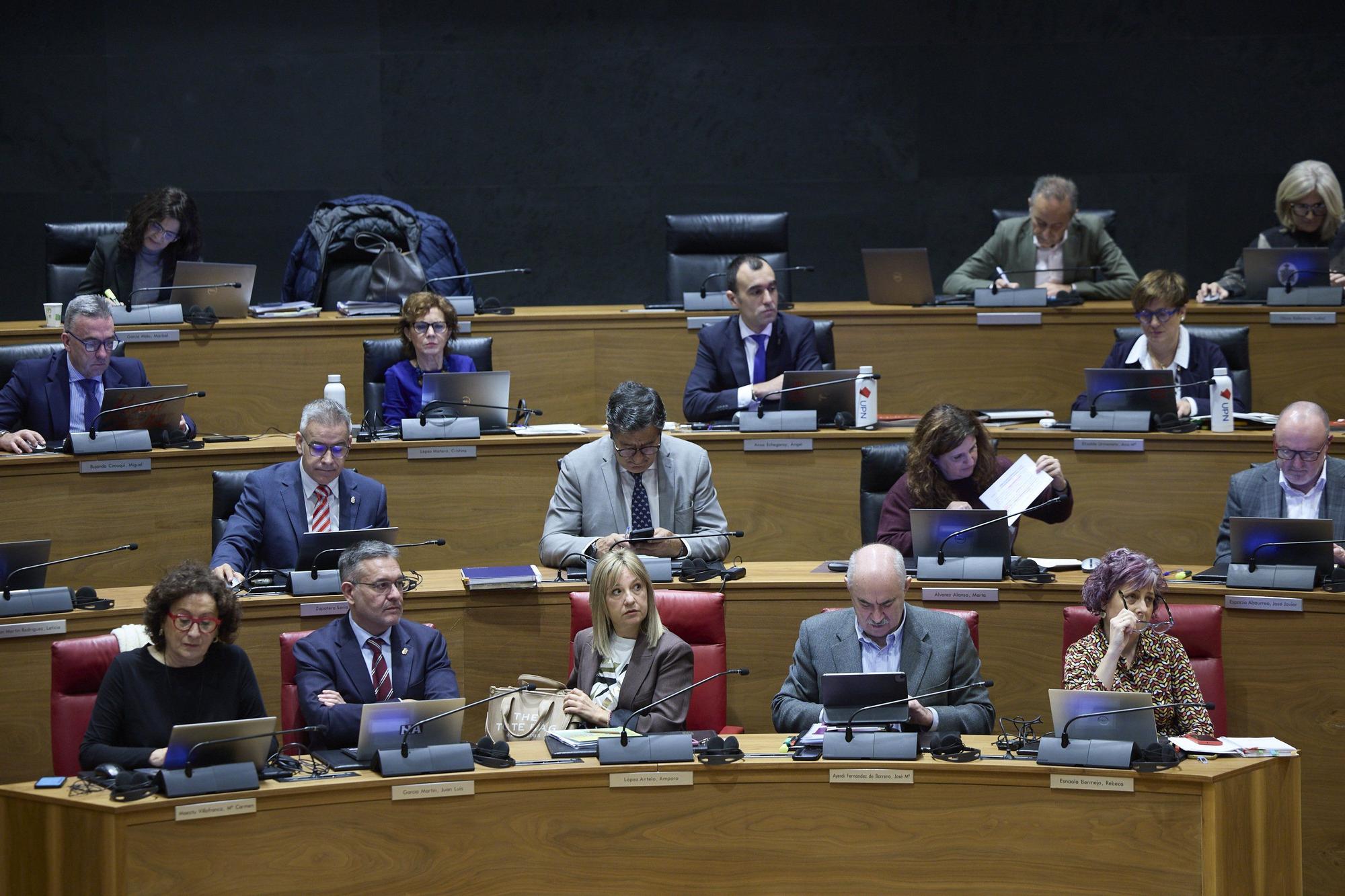 Fotos del pleno del Parlamento de Navarra del 27 de noviembre