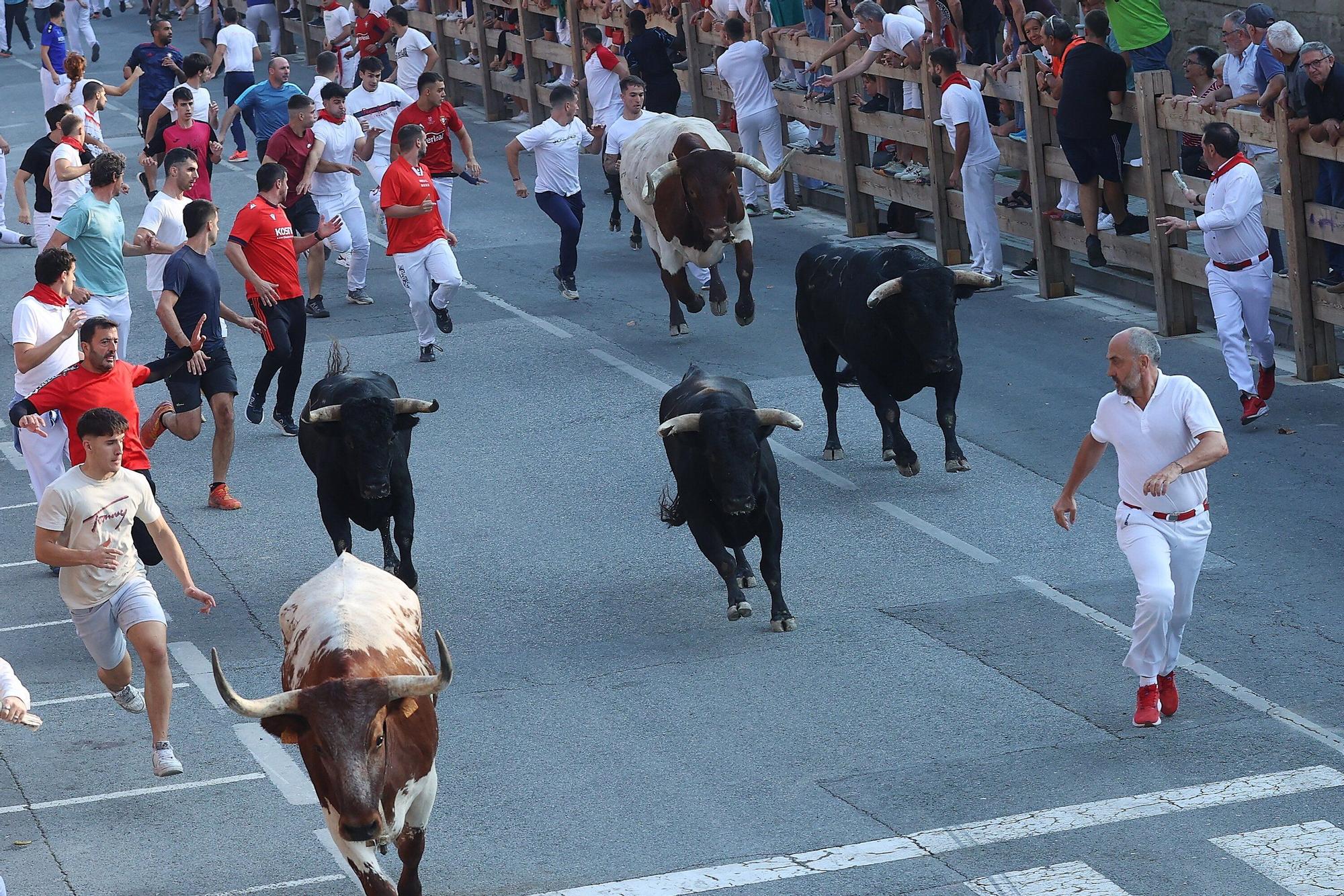Fotos del segundo encierro de fiestas de Tafalla 2025
